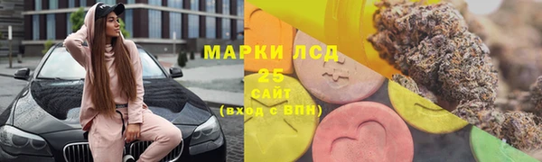 ешки Инсар