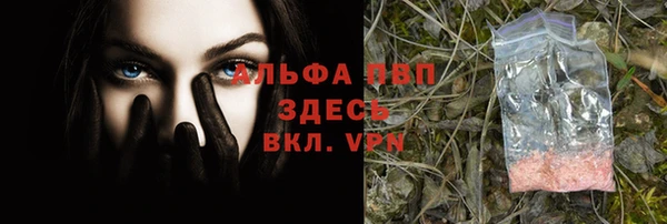 ешки Инсар