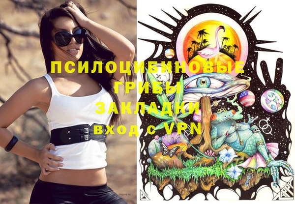 герыч Иннополис