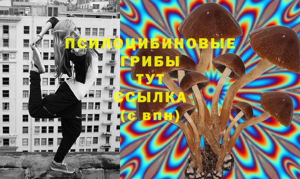 герыч Иннополис